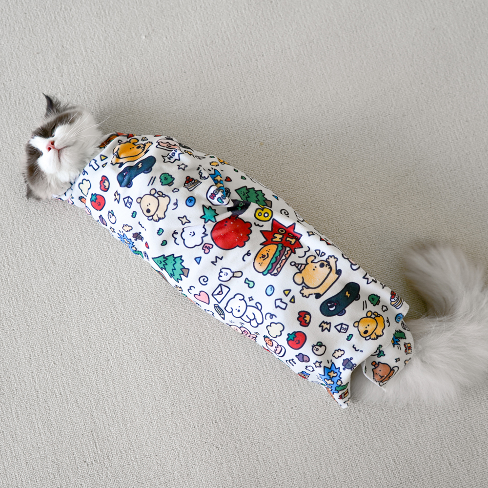 개과천선 트랩핑 고양이 요술담요